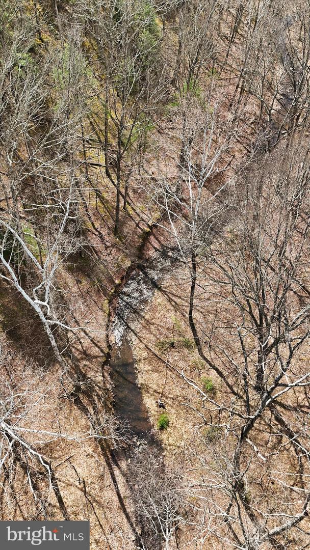 Lot 62 Phase 2 Crest Haven Rd Property Photo 15