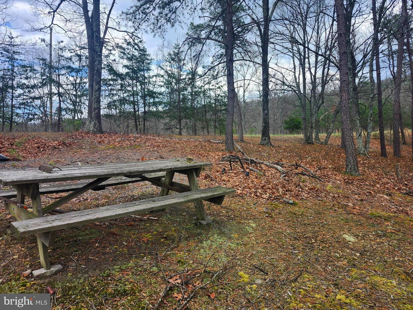 4.73 Ac Brown Cardinal Ridge Property Photo 1