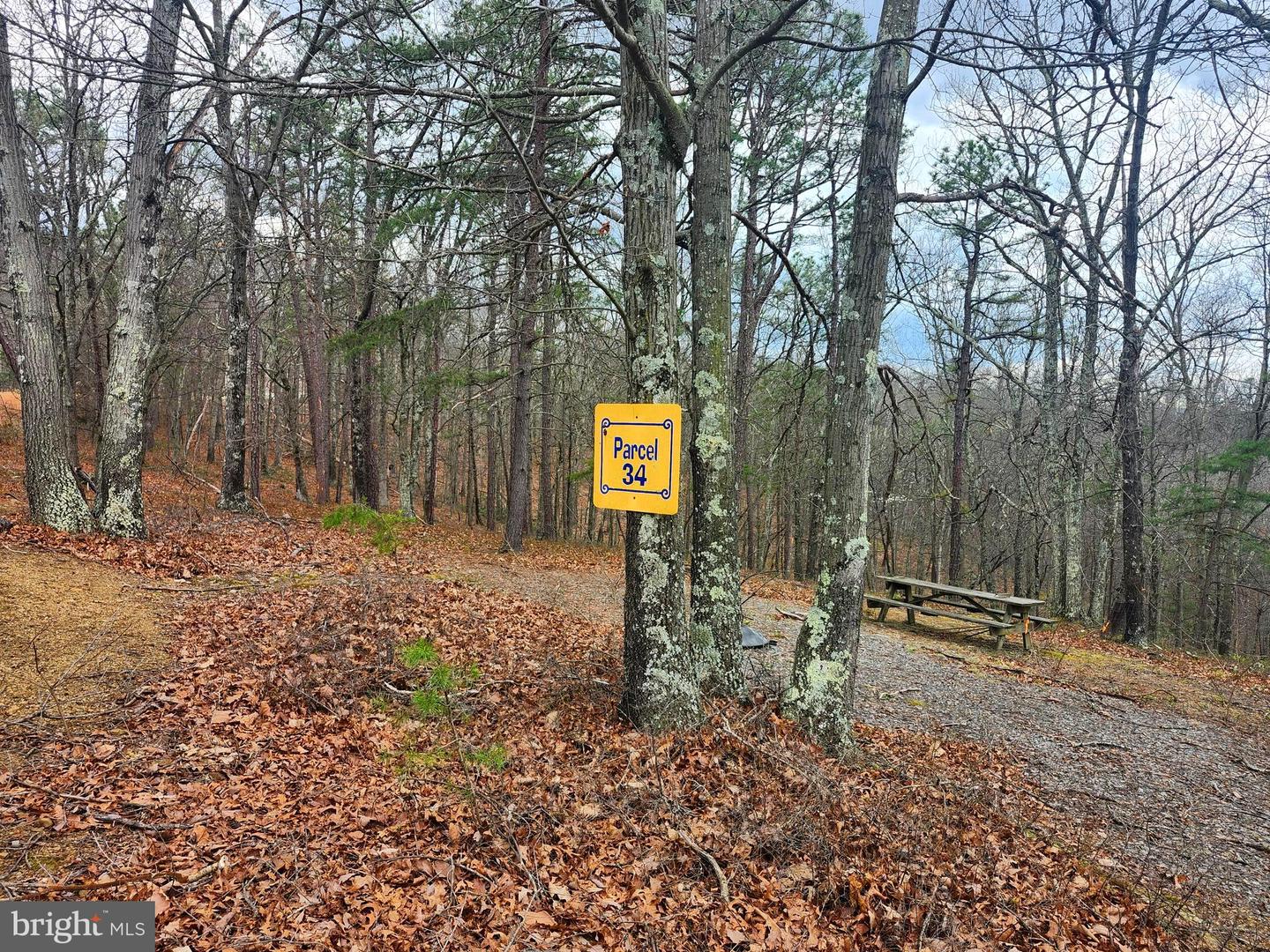 4.73 Ac Brown Cardinal Ridge Property Photo 2