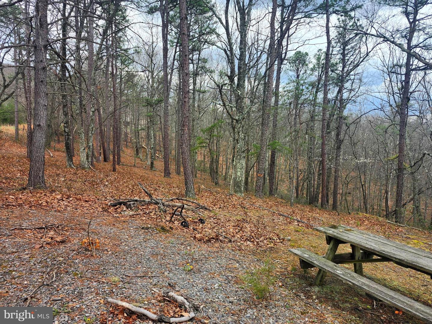 4.73 Ac Brown Cardinal Ridge Property Photo 3