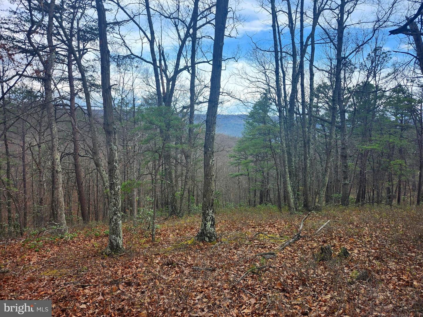 4.73 Ac Brown Cardinal Ridge Property Photo 5