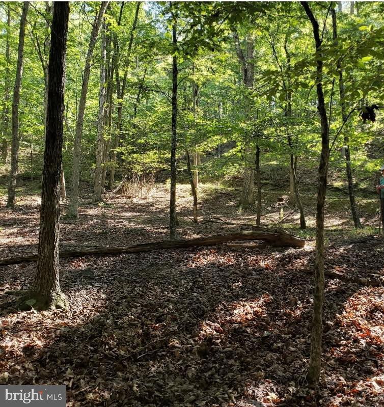 4.73 Ac Brown Cardinal Ridge Property Photo 6