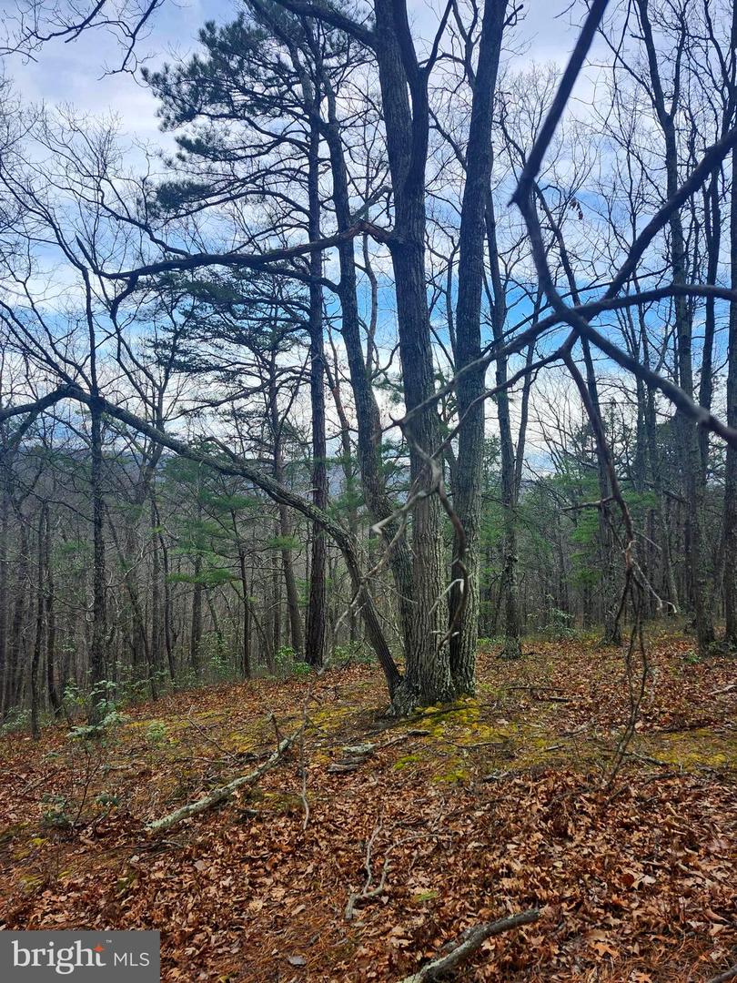 4.73 Ac Brown Cardinal Ridge Property Photo 8