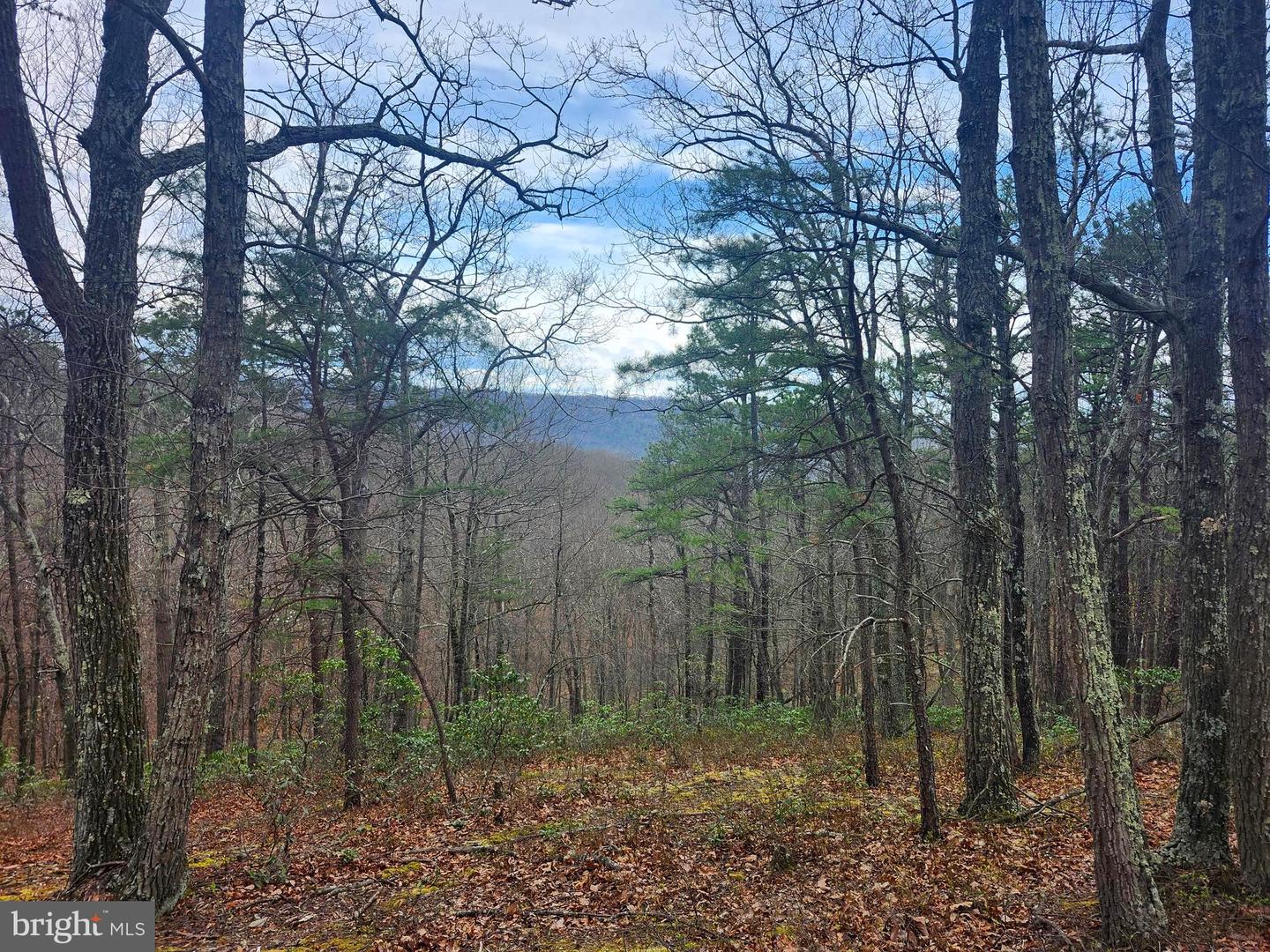 4.73 Ac Brown Cardinal Ridge Property Photo 9