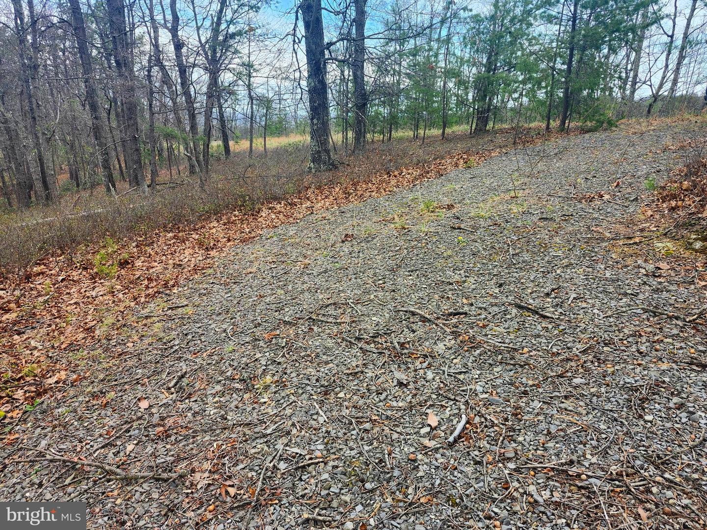 4.73 Ac Brown Cardinal Ridge Property Photo 11