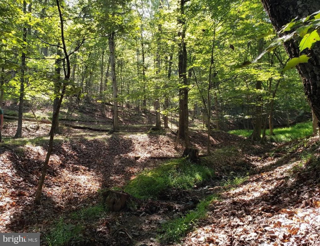 4.73 Ac Brown Cardinal Ridge Property Photo 12
