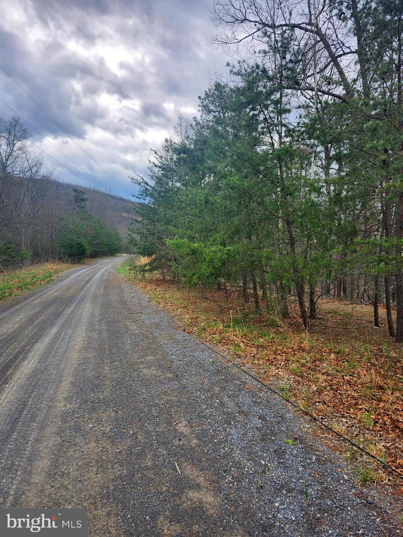 4.73 Ac Brown Cardinal Ridge Property Photo 13