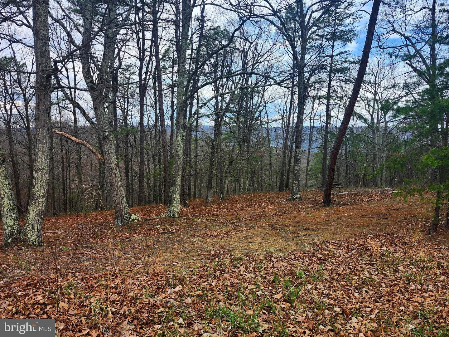 4.73 Ac Brown Cardinal Ridge Property Photo 14