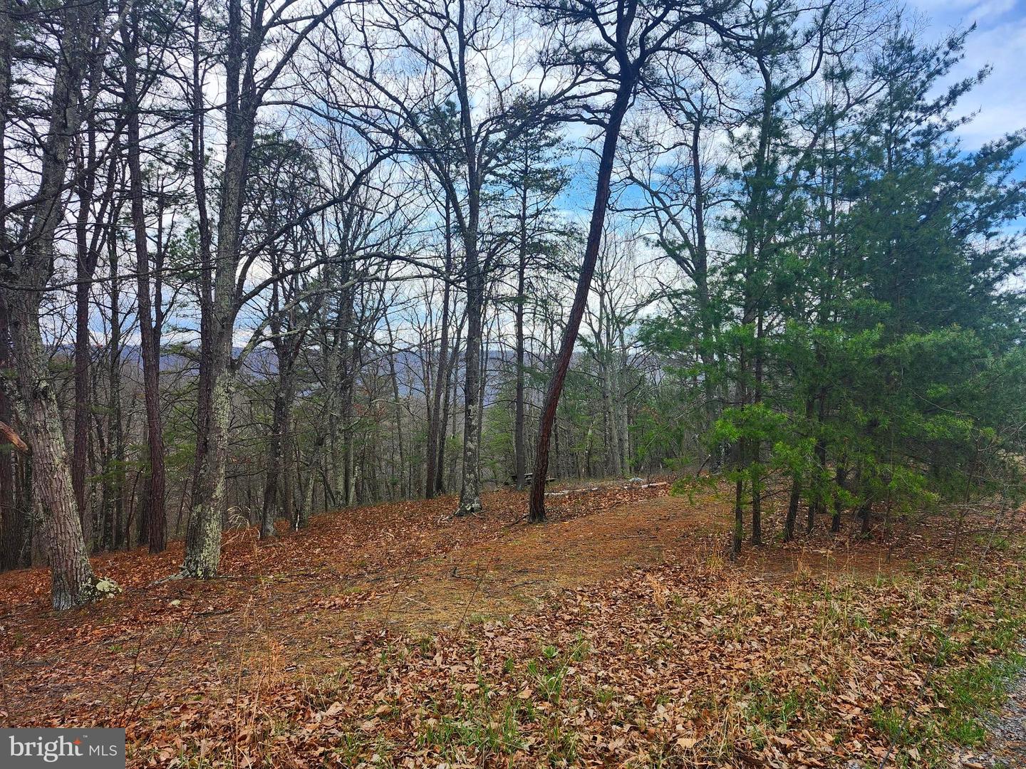 4.73 Ac Brown Cardinal Ridge Property Photo 15