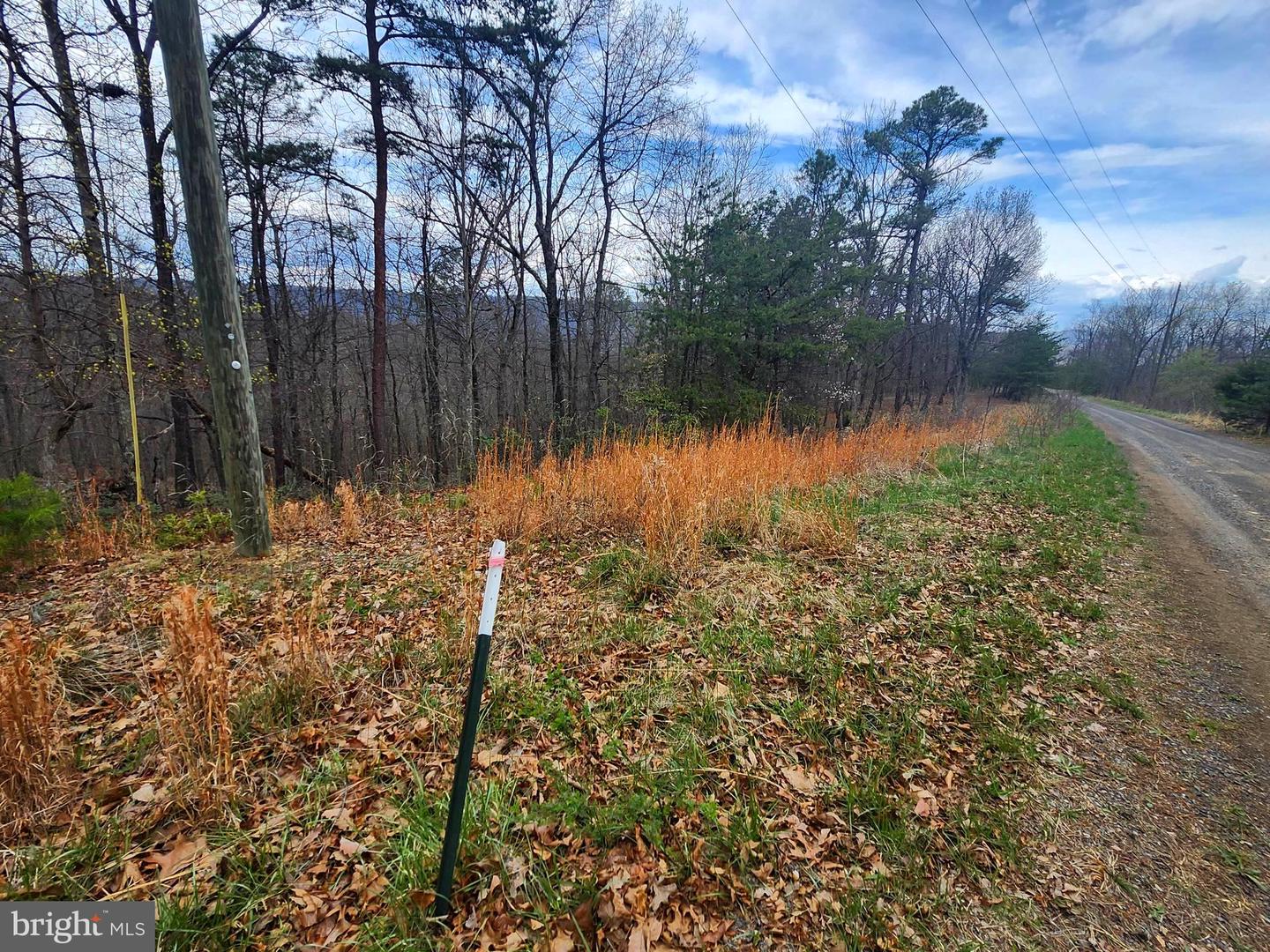4.73 Ac Brown Cardinal Ridge Property Photo 16