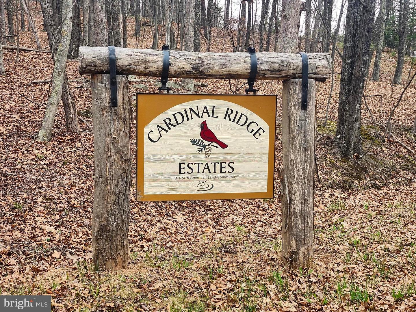 4.73 Ac Brown Cardinal Ridge Property Photo 17