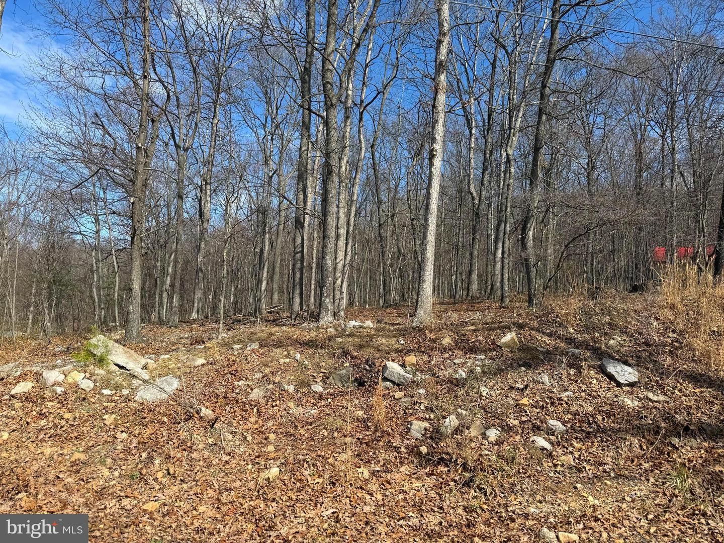 LOT 65 HIGH MOUNTAIN VIEW RD Property Photo 1