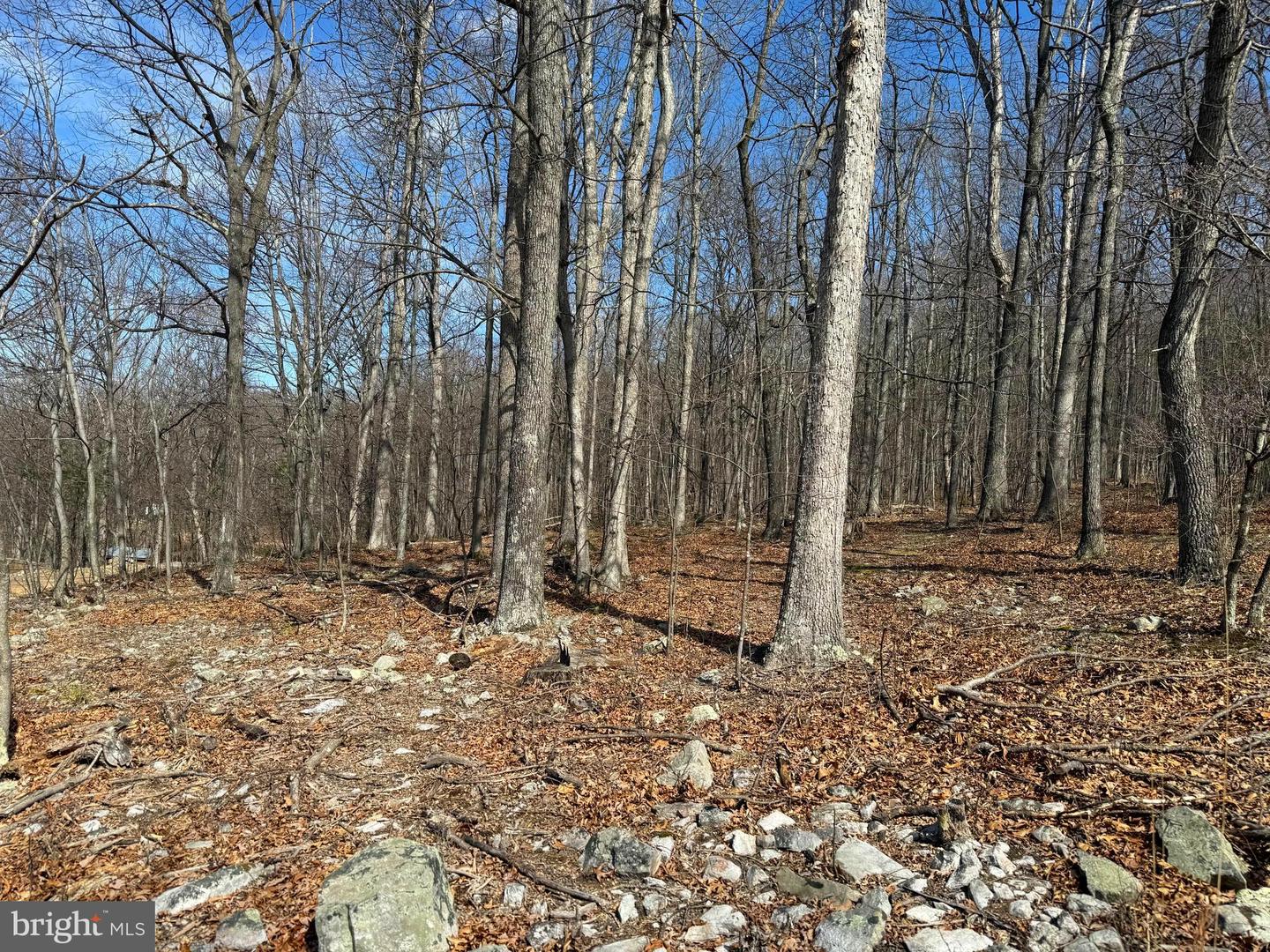 Lot 65 High Mountain View Rd Property Photo 3