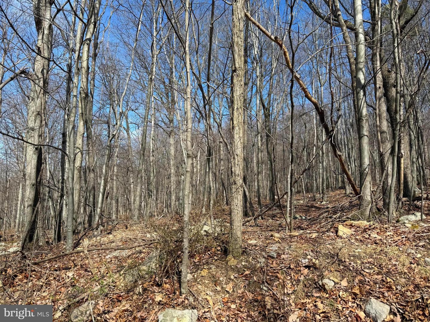LOT 63 HIGH MOUNTAIN VIEW RD Property Photo 1