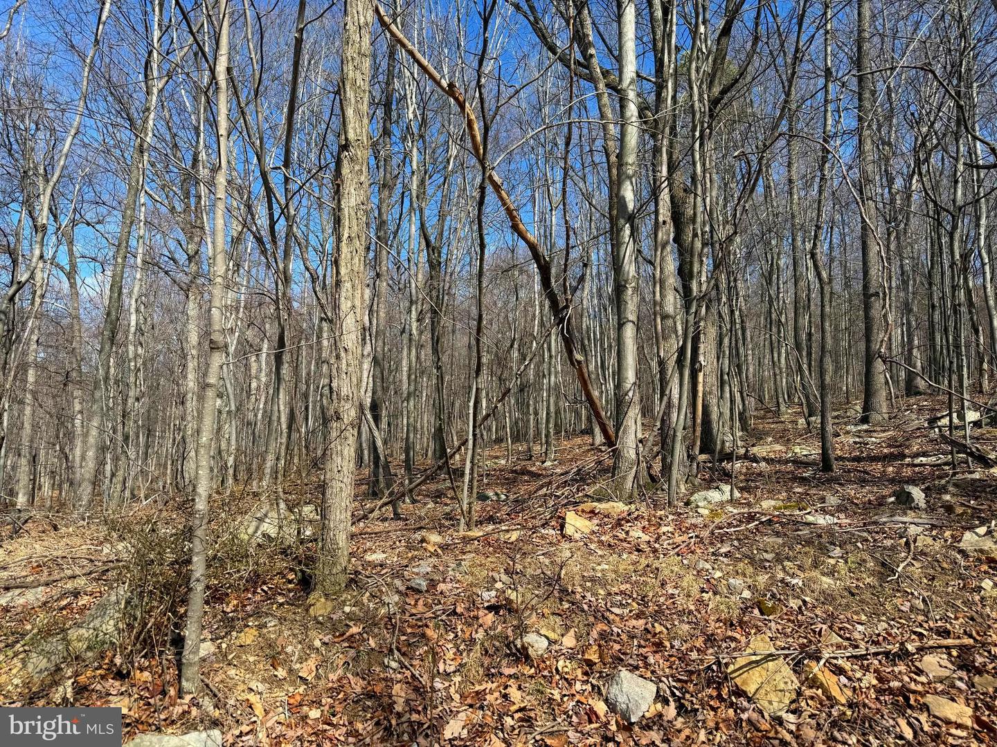 Lot 63 High Mountain View Rd Property Photo 2