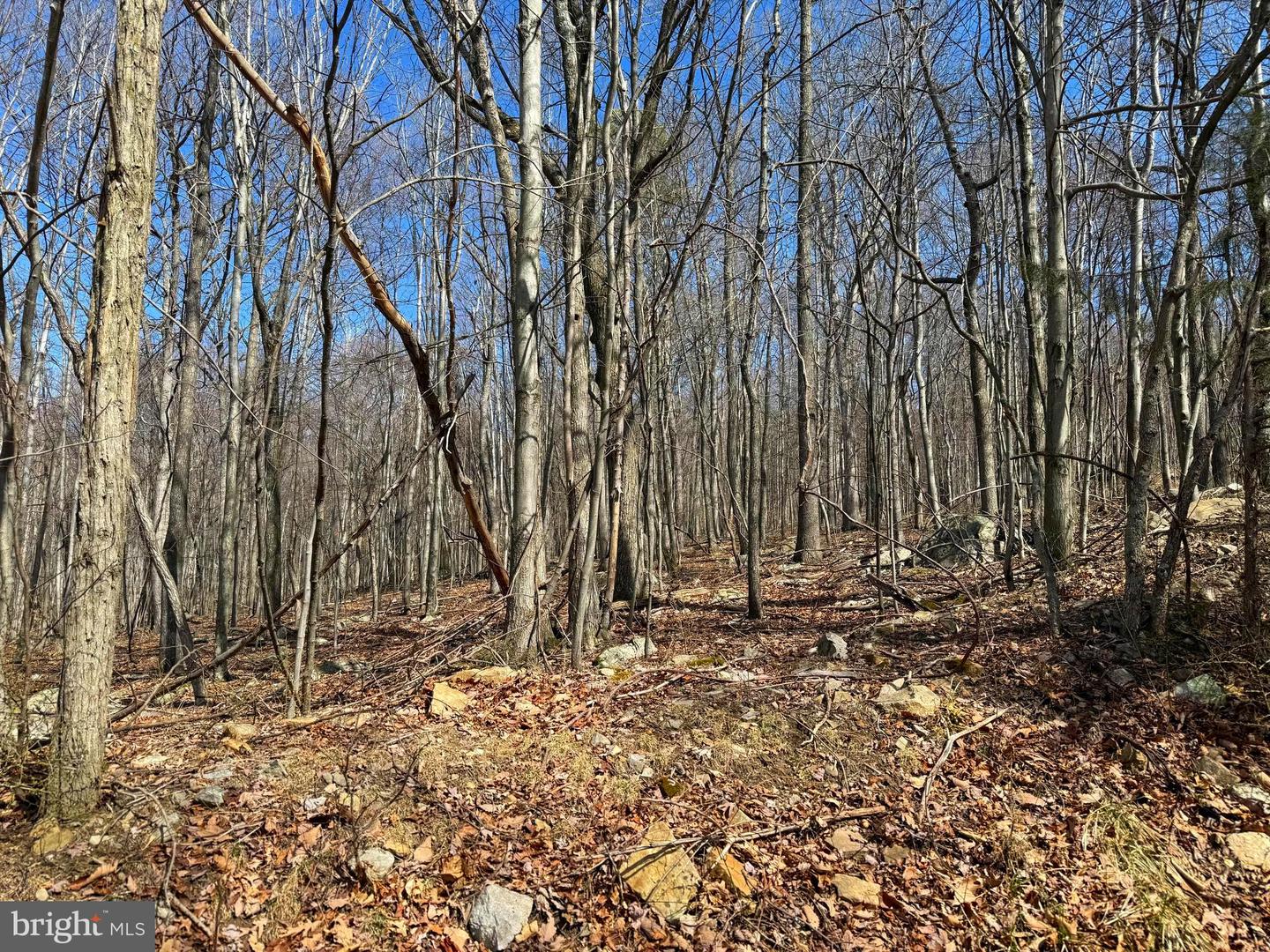 Lot 63 High Mountain View Rd Property Photo 3