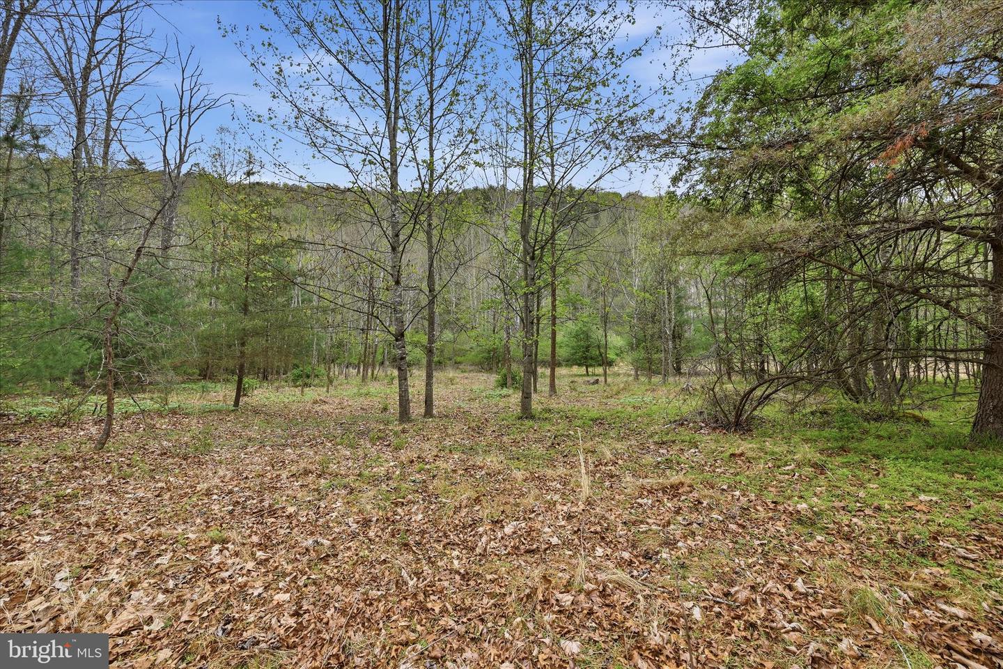 783 Ritters Valley Dr Property Photo 53