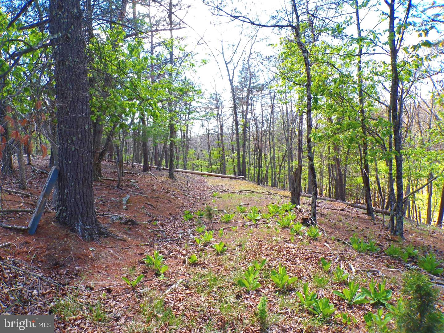 Lot 120 Crossings View Road Property Photo 1