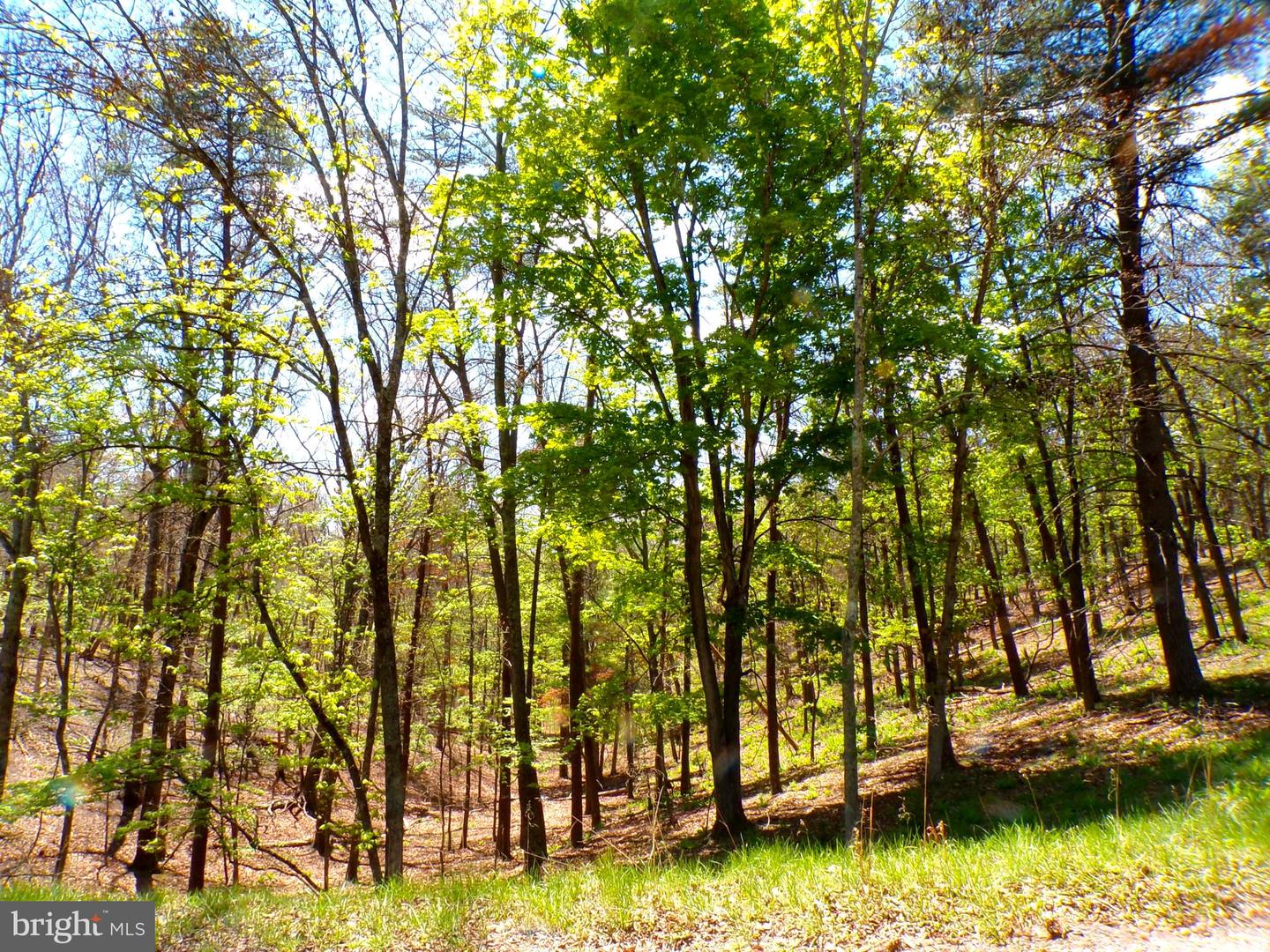 Lot 120 Crossings View Road Property Photo 2
