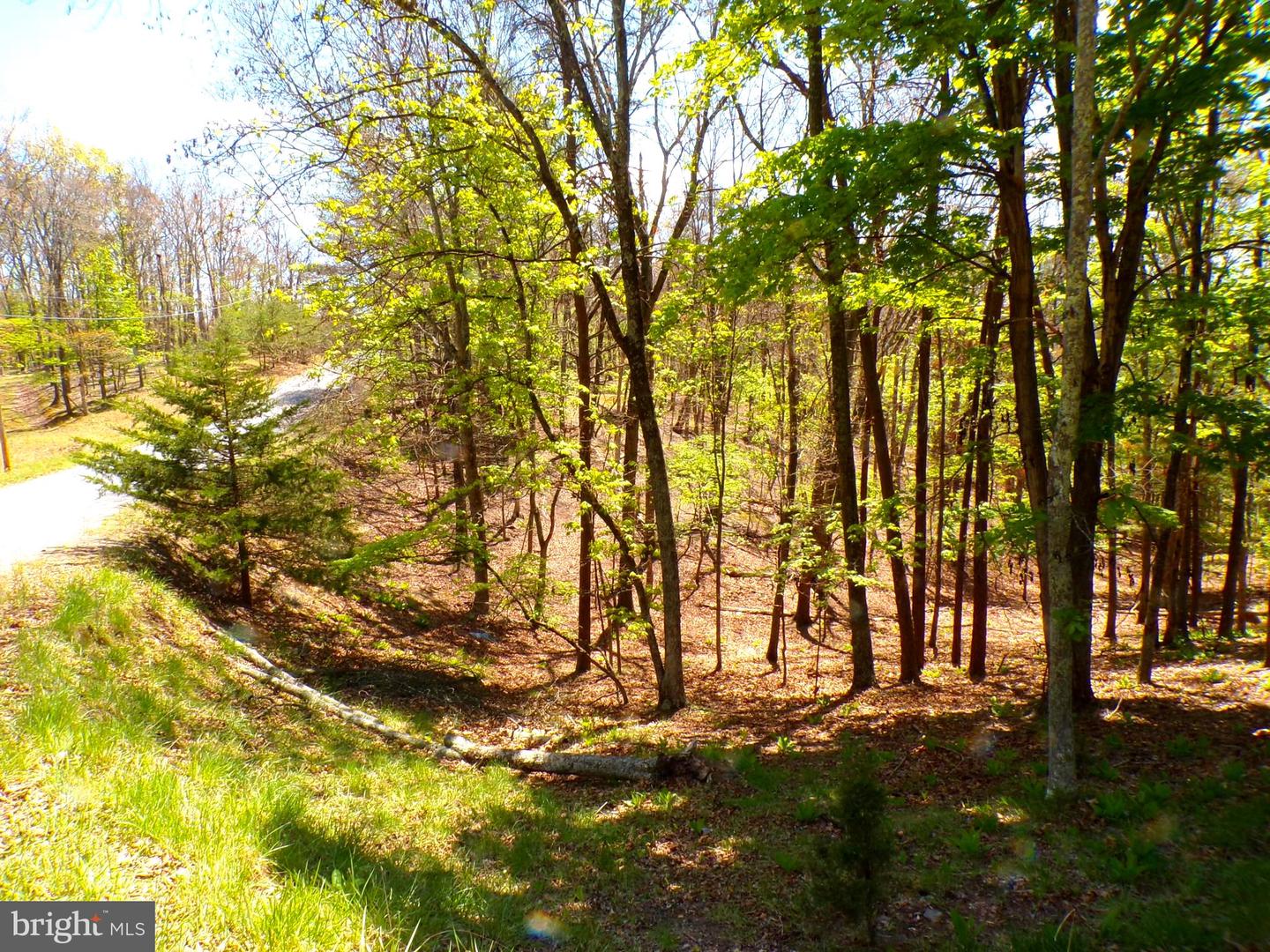Lot 120 Crossings View Road Property Photo 3