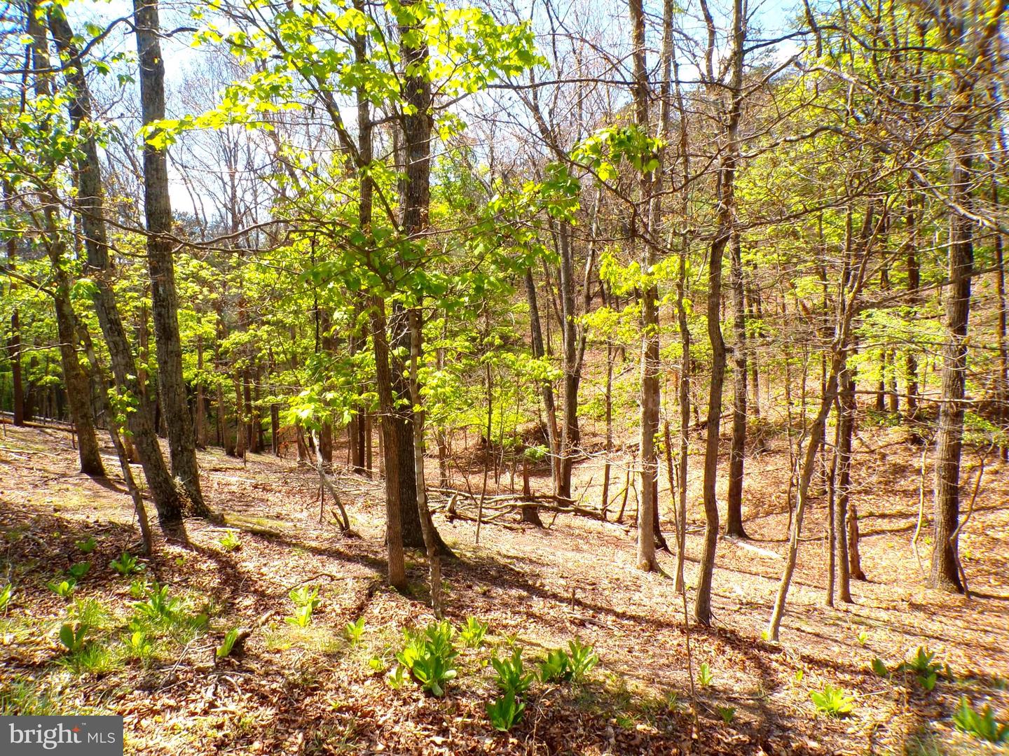 Lot 120 Crossings View Road Property Photo 4