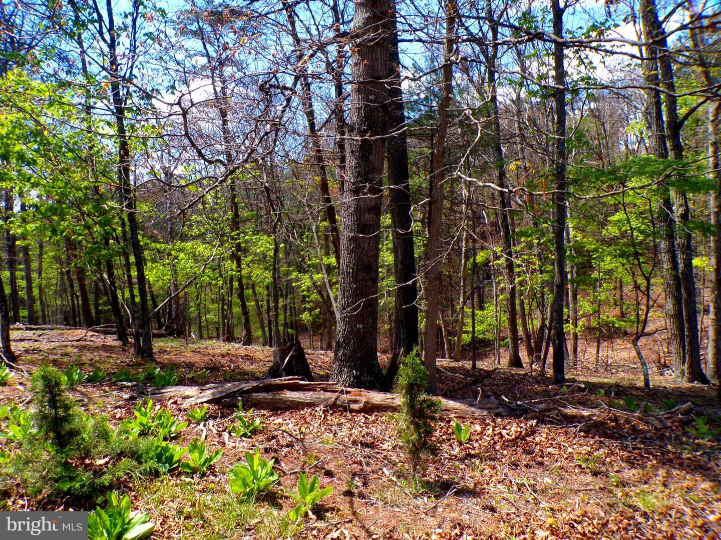 Lot 120 Crossings View Road Property Photo 5