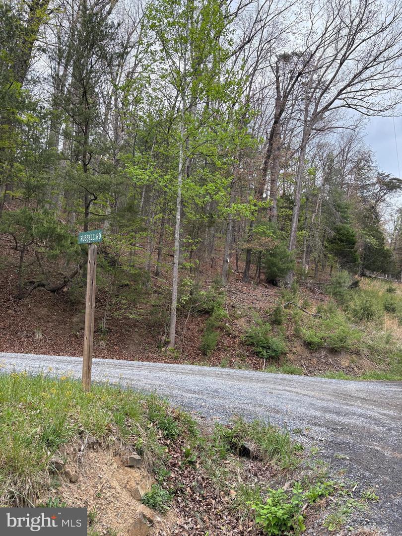 2865 Capon Springs Rd Property Photo 33