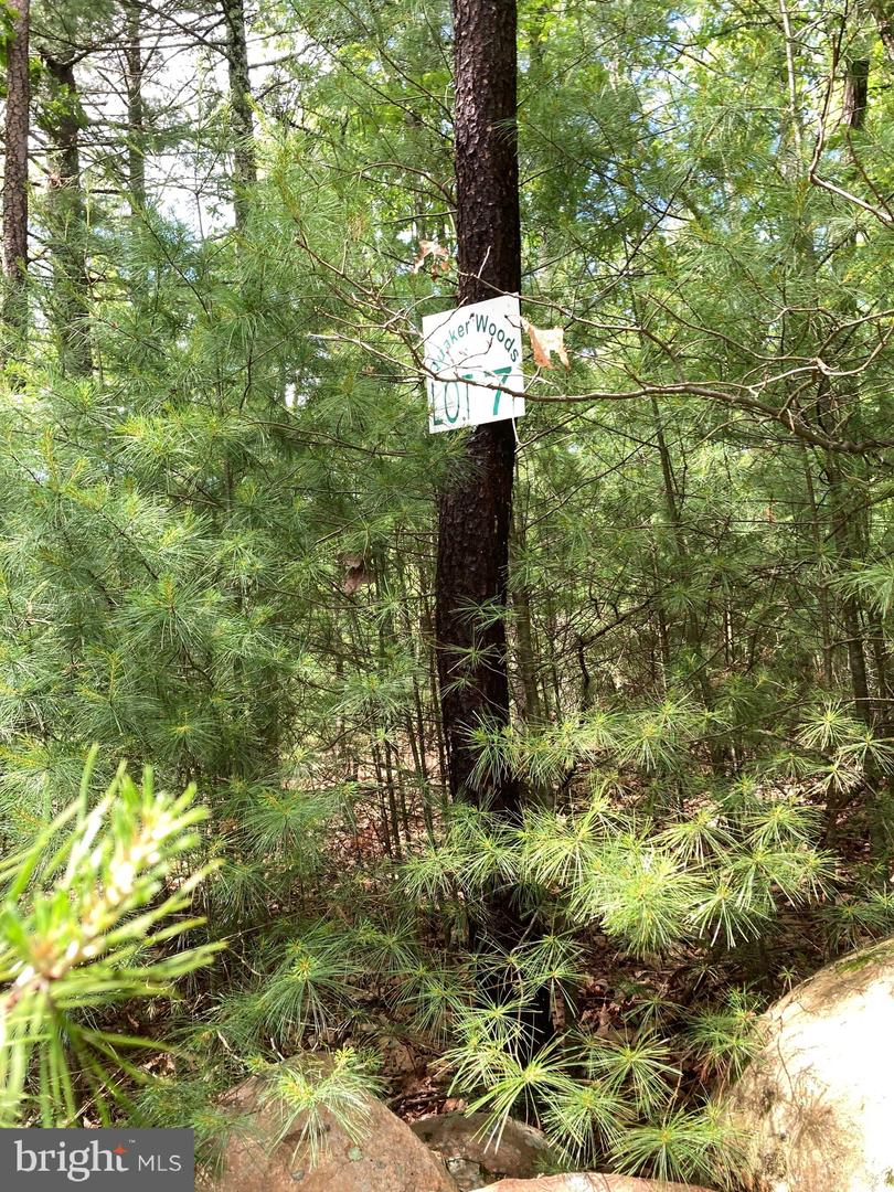 L7 Quaker Woods Ln Property Photo 7