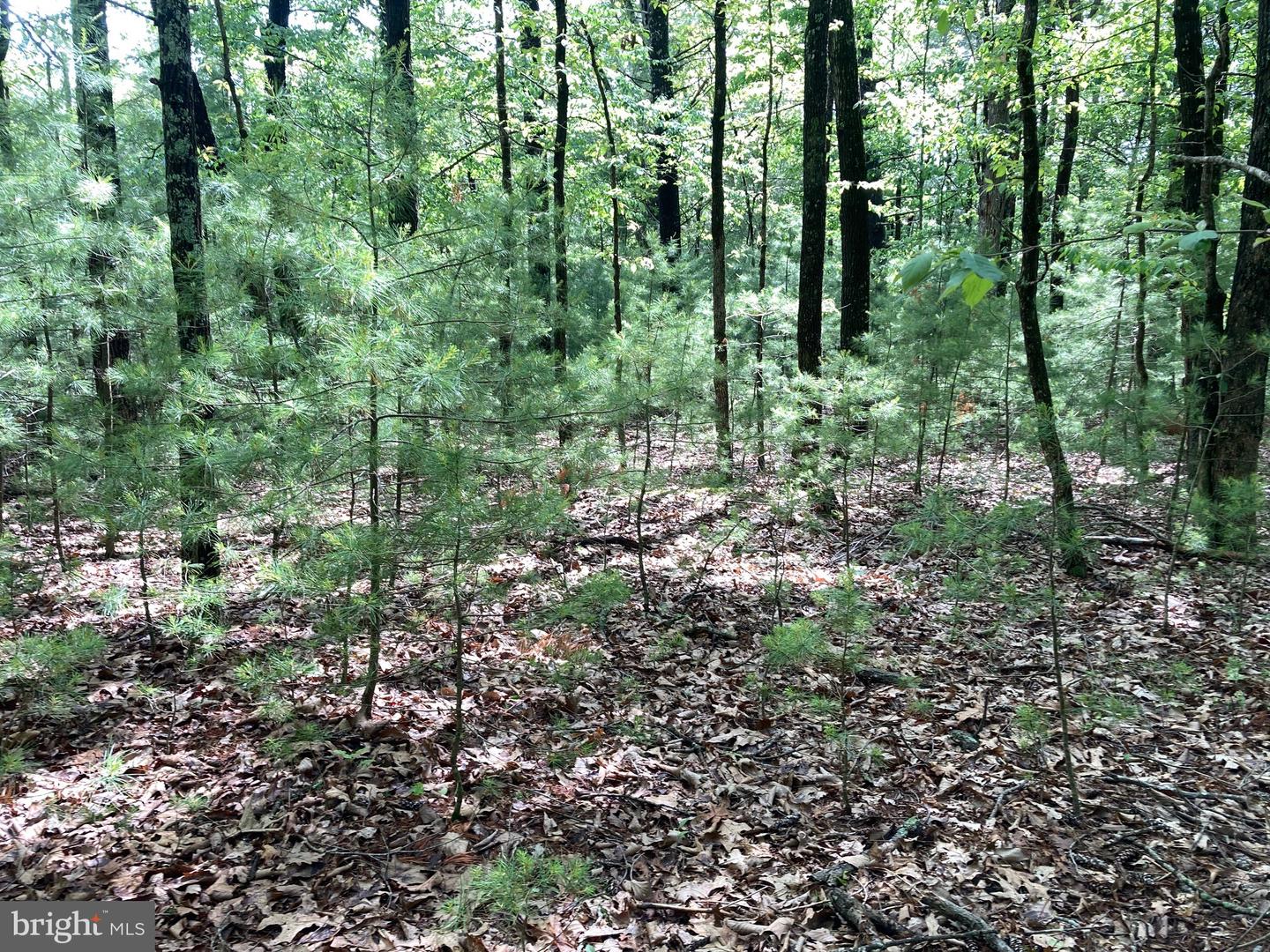 L7 Quaker Woods Ln Property Photo 8