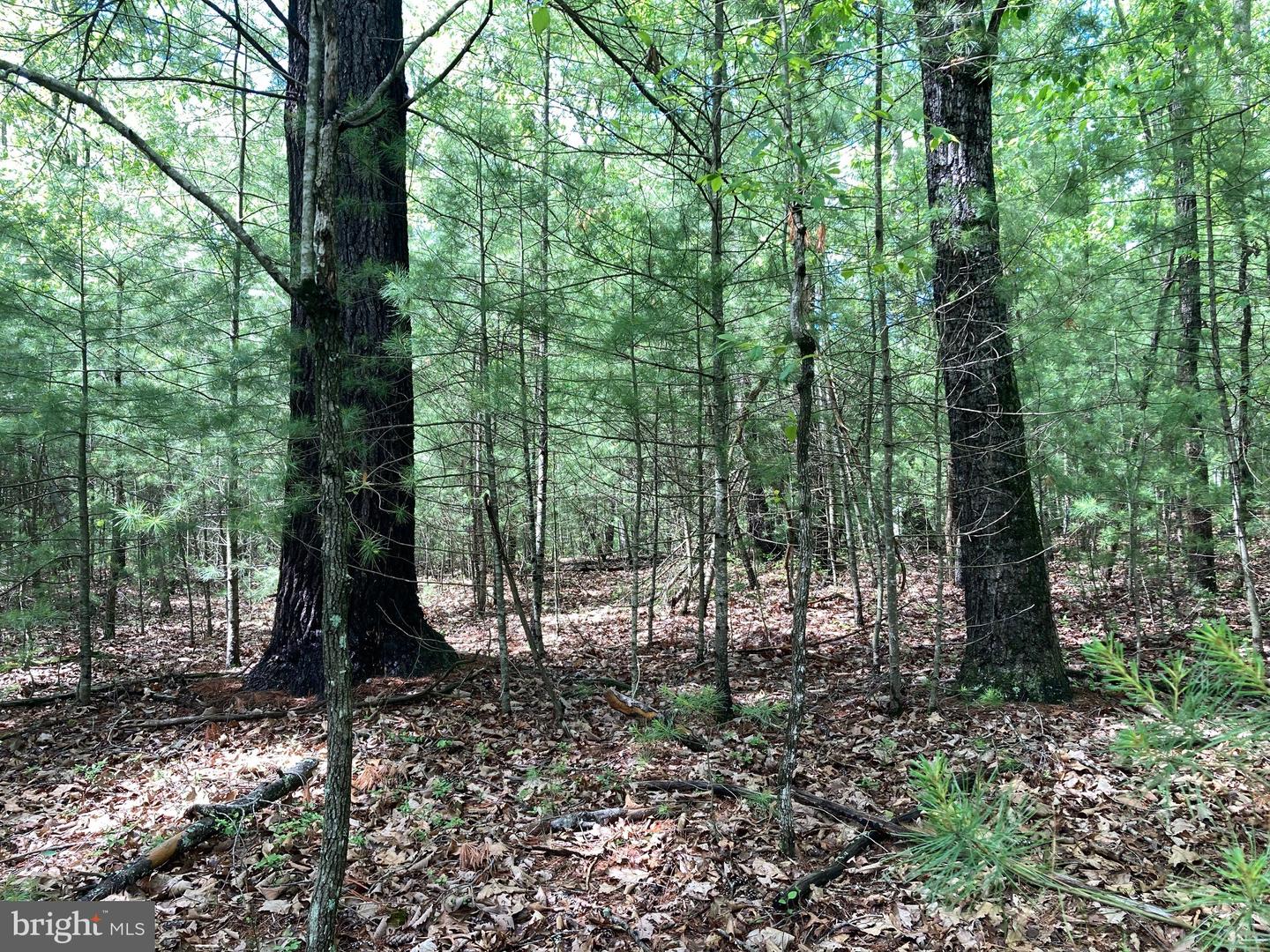 L7 Quaker Woods Ln Property Photo 10