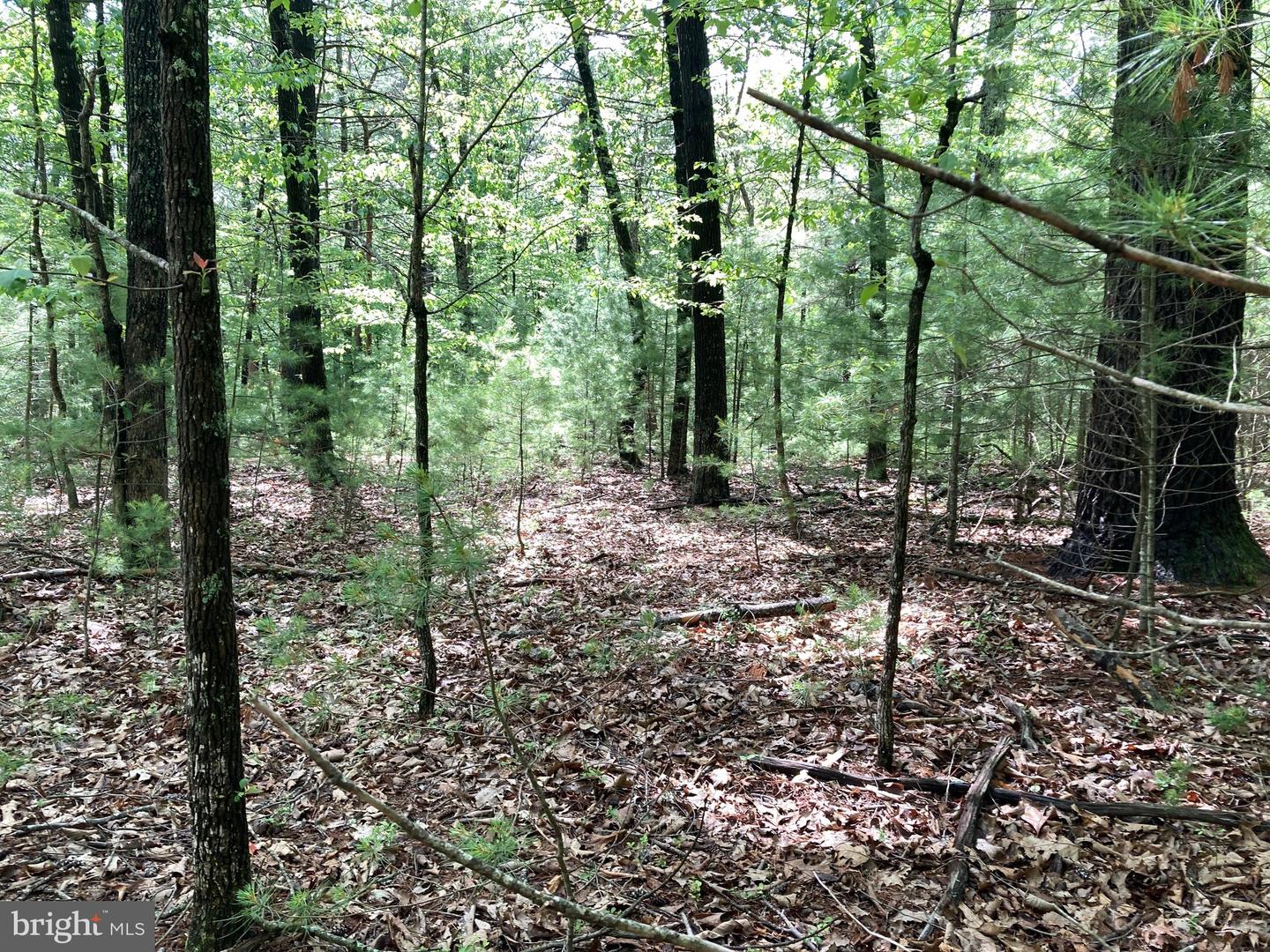 L7 Quaker Woods Ln Property Photo 11