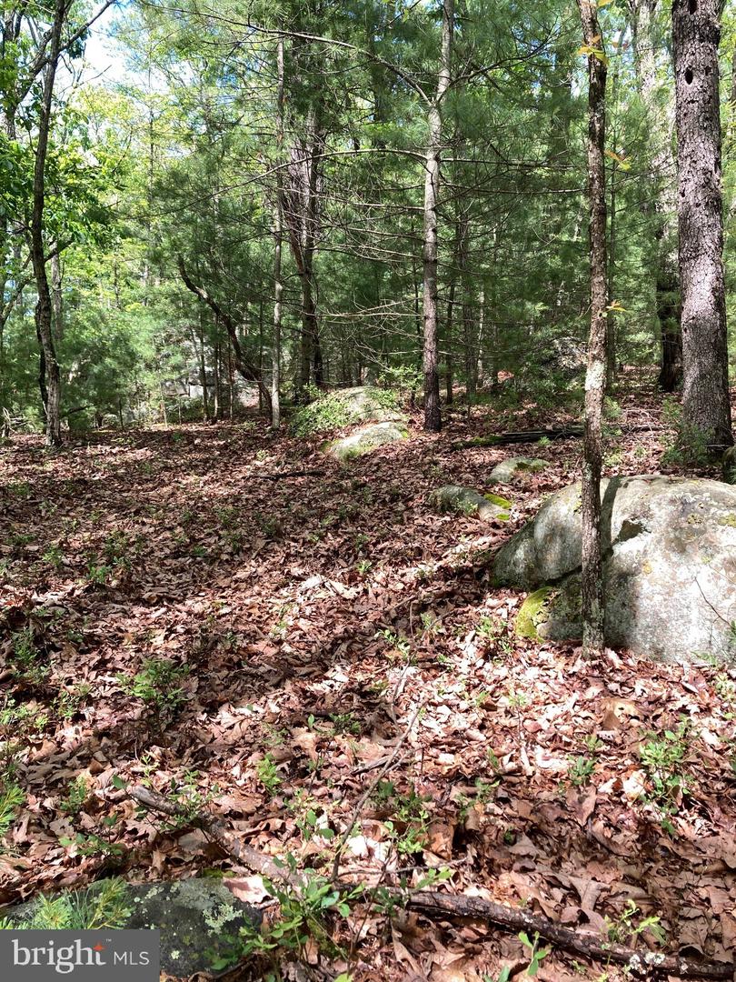L7 Quaker Woods Ln Property Photo 14