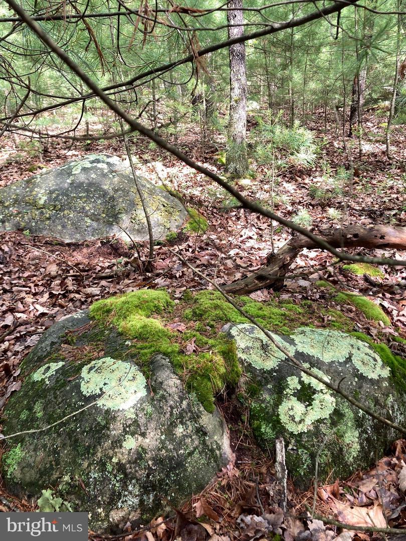 L7 Quaker Woods Ln Property Photo 15