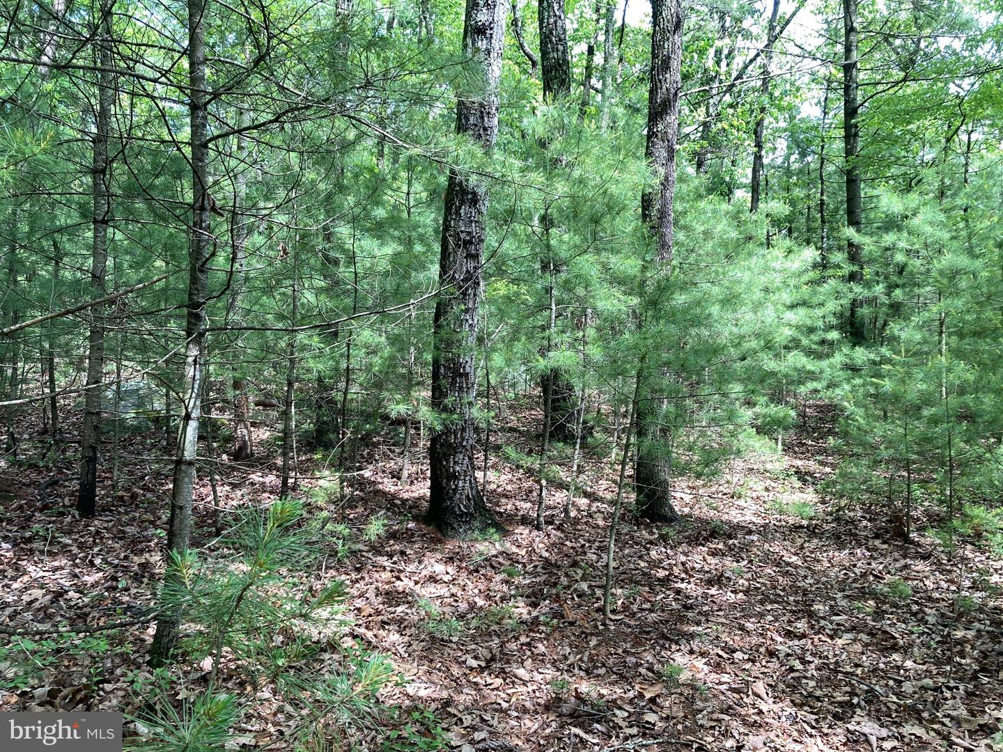 L7 Quaker Woods Ln Property Photo 16