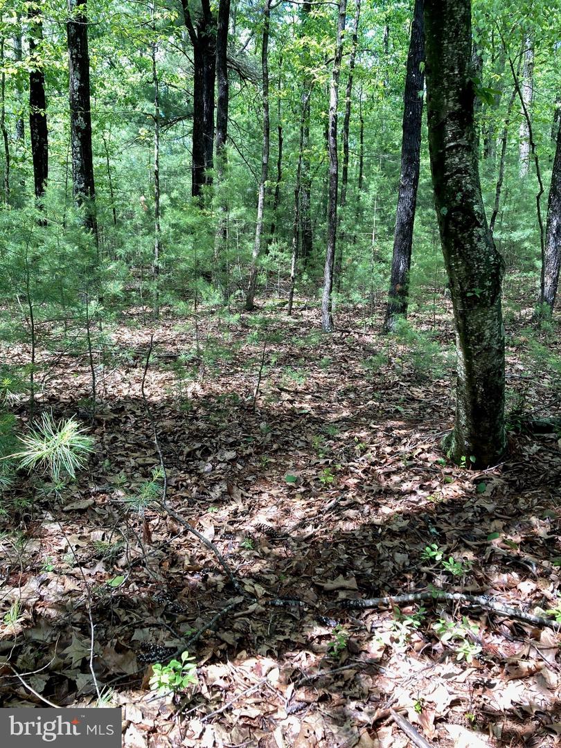 L7 Quaker Woods Ln Property Photo 17