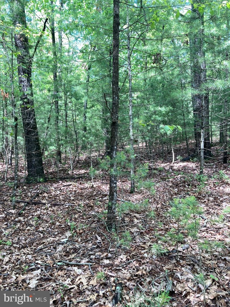 L7 Quaker Woods Ln Property Photo 18