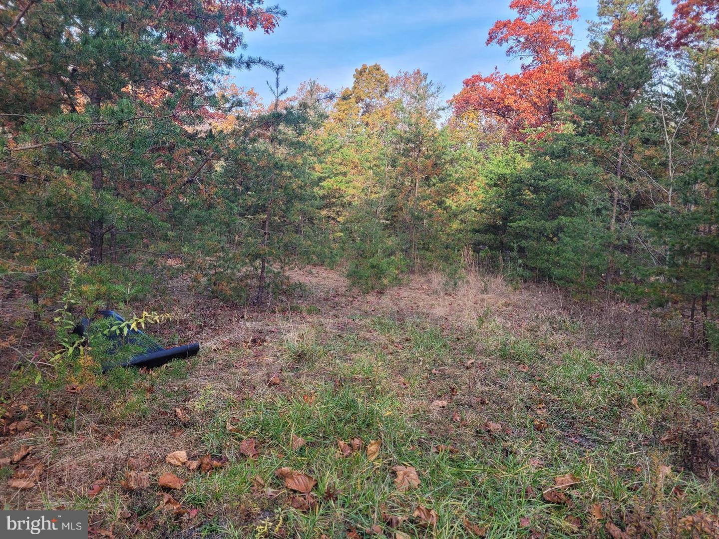 Lot 26 Park Road Property Photo 2