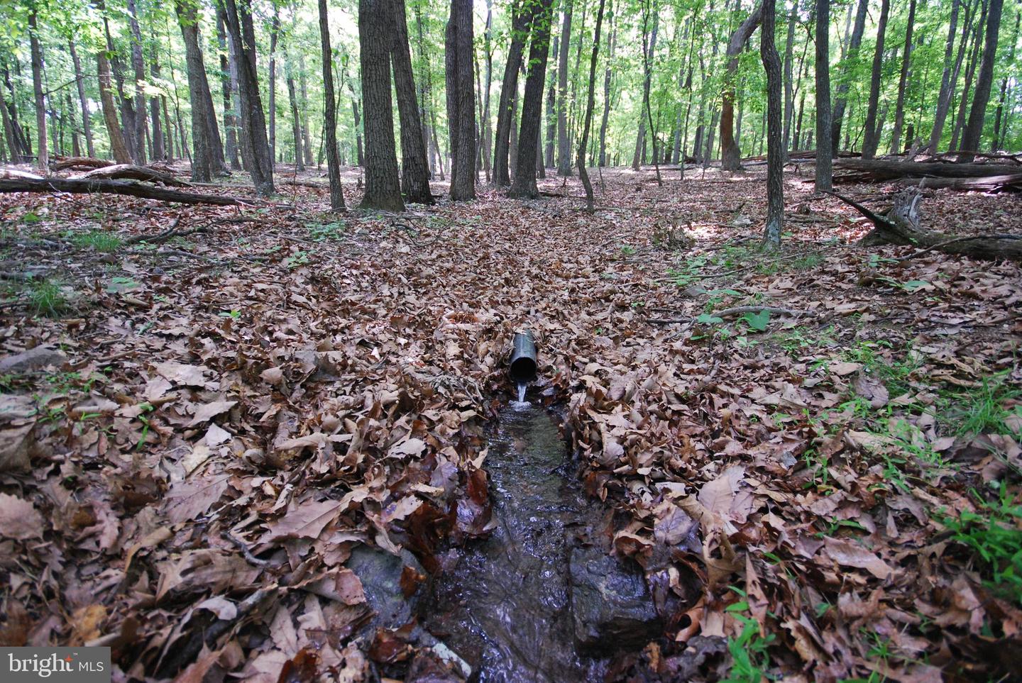 LOT 67 MILL MOUNTAIN RD