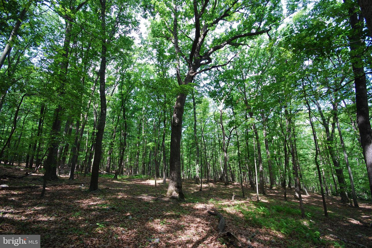 Lot 67 Mill Mountain Rd Property Photo 2