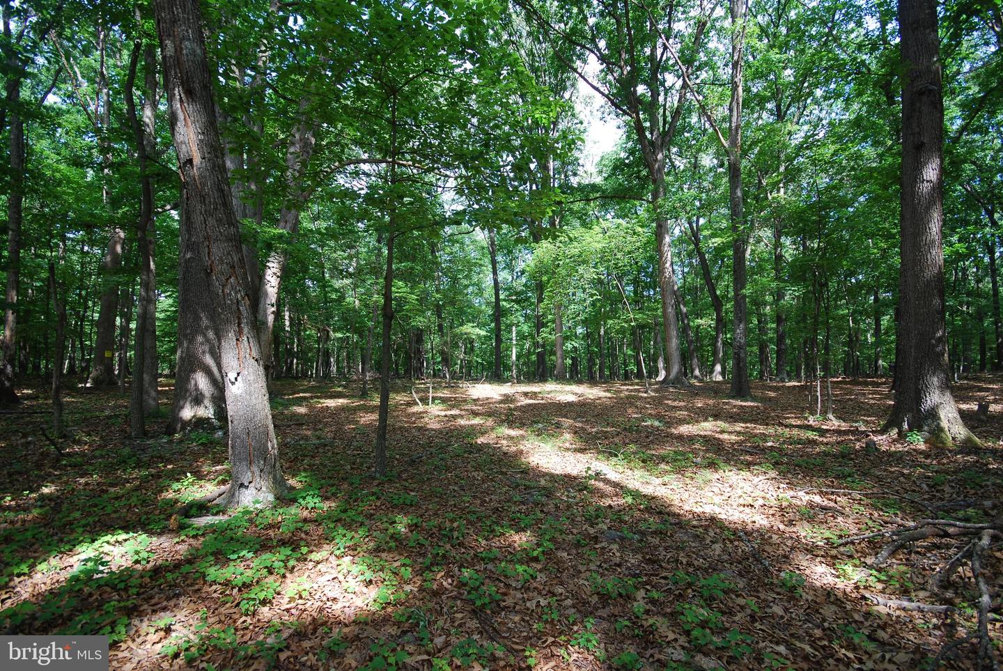 Lot 67 Mill Mountain Rd Property Photo 3