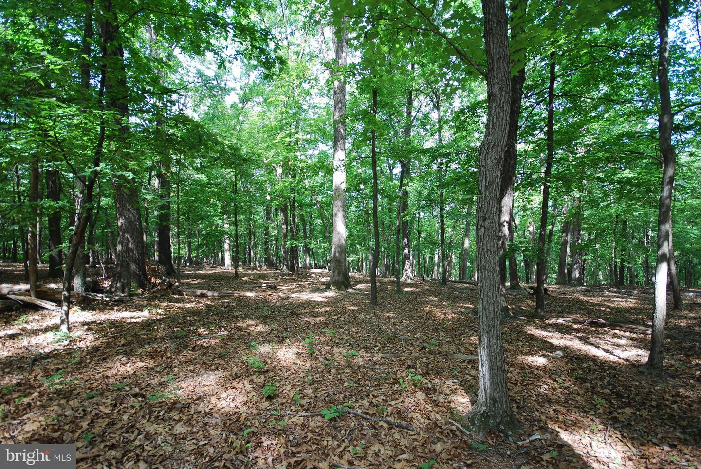Lot 67 Mill Mountain Rd Property Photo 4