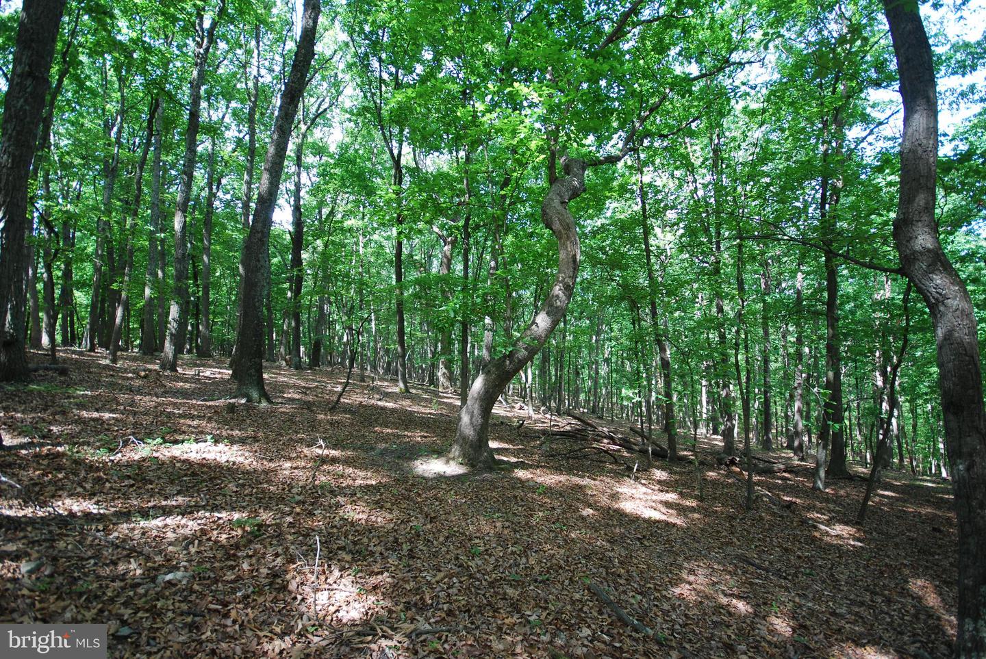 Lot 67 Mill Mountain Rd Property Photo 5