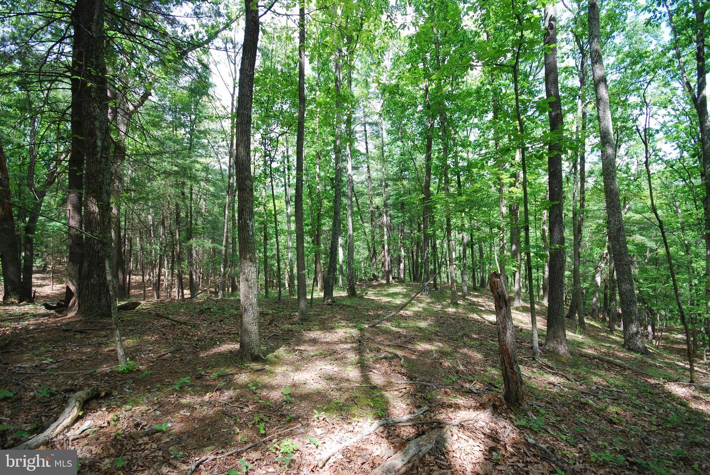 Lot 67 Mill Mountain Rd Property Photo 6