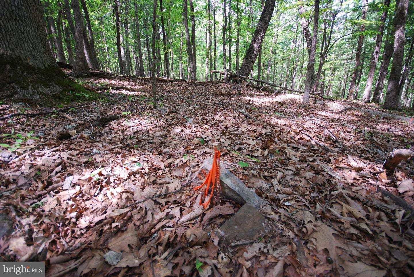 Lot 67 Mill Mountain Rd Property Photo 7