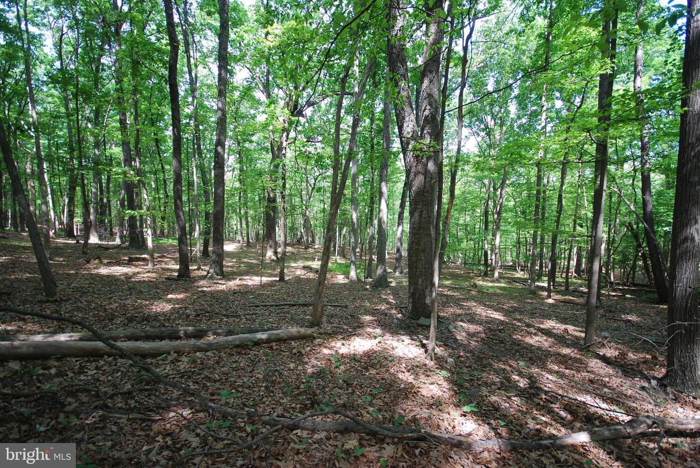 Lot 67 Mill Mountain Rd Property Photo 8