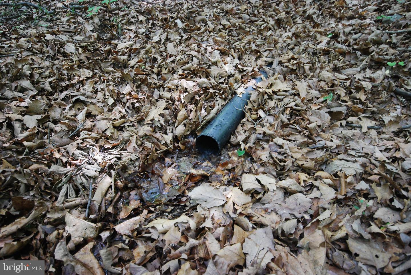Lot 67 Mill Mountain Rd Property Photo 9