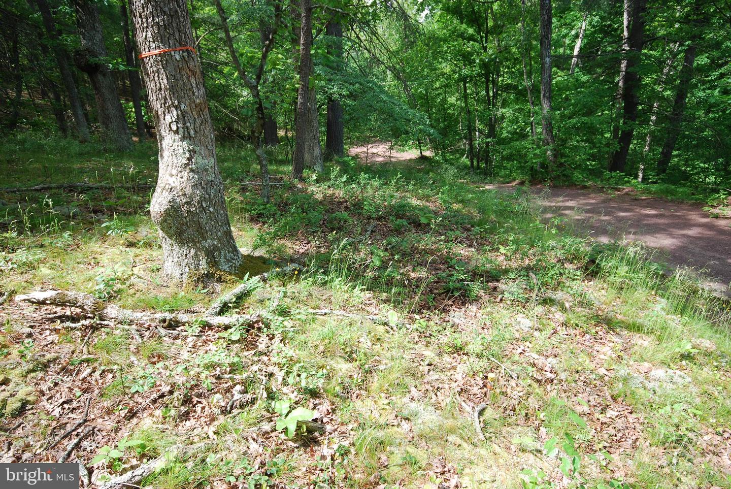 Lot 67 Mill Mountain Rd Property Photo 10
