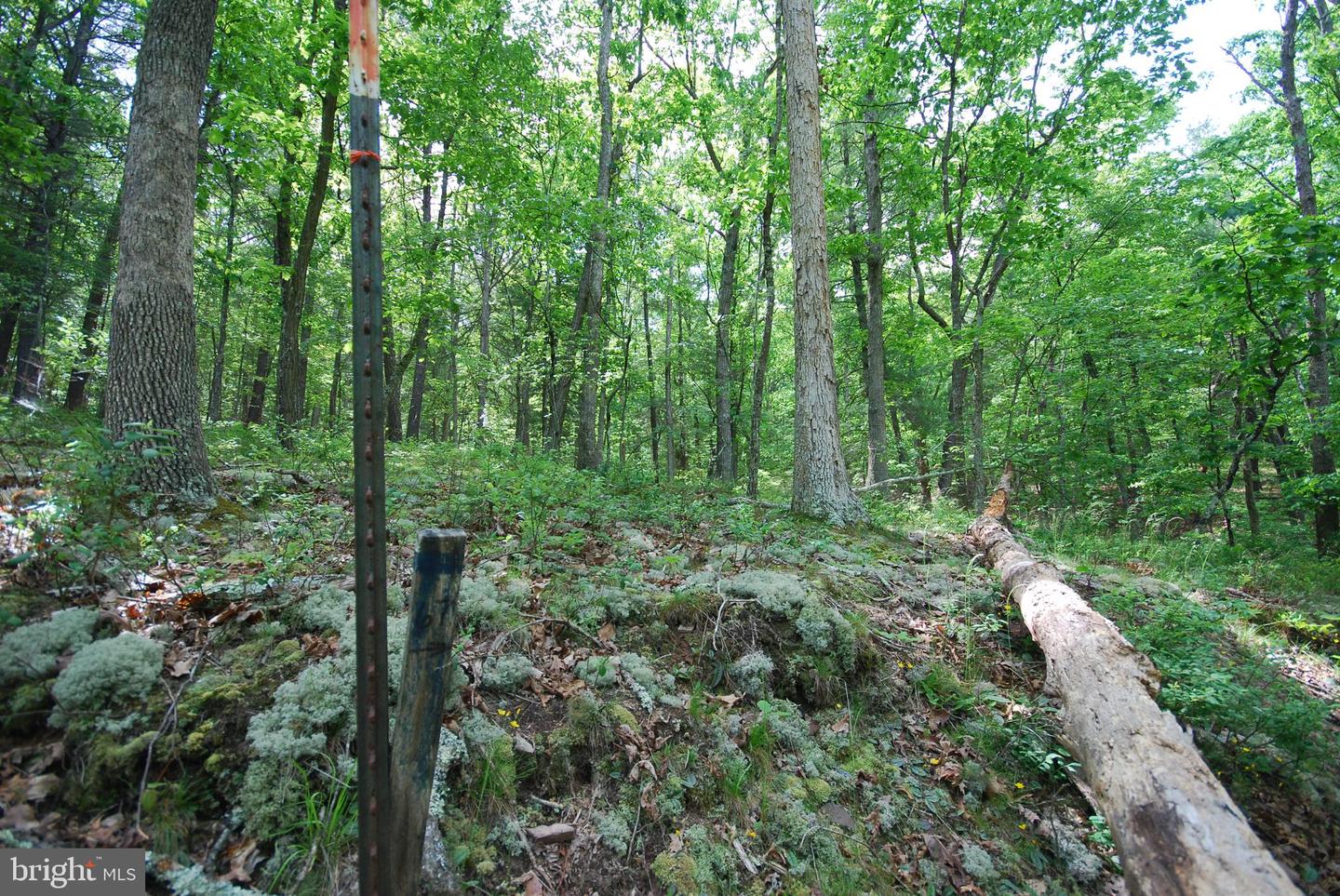 Lot 67 Mill Mountain Rd Property Photo 11