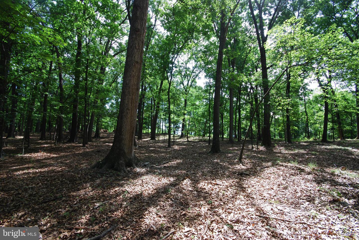 Lot 67 Mill Mountain Rd Property Photo 13