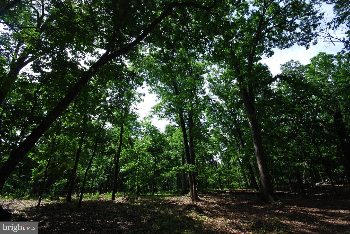 Lot 67 Mill Mountain Rd Property Photo 14